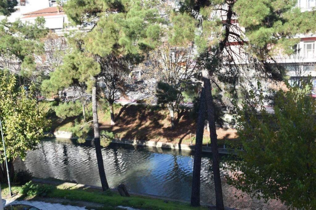 And Modern Flat By The River *